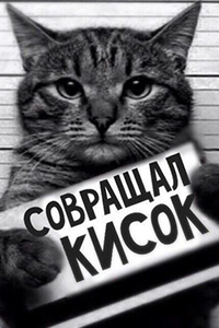 Фото кота зека с табличкой "Совращал кисок"